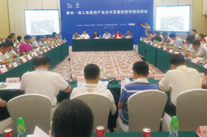 贵州·珠三角医药产业合作发展投资对接洽谈会