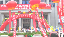 第1届全国药品·保健品(长沙)展览会（2004夏季）